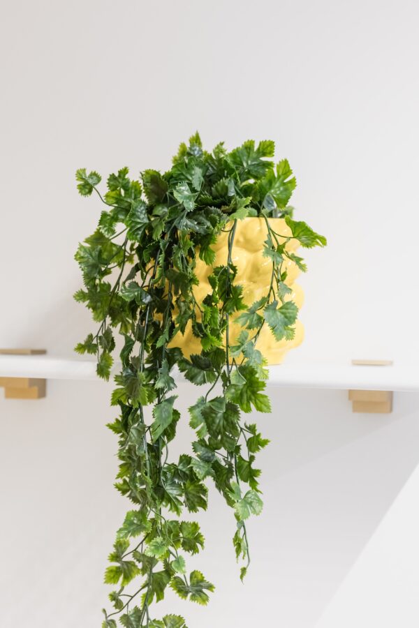 Plante tombante artificielle