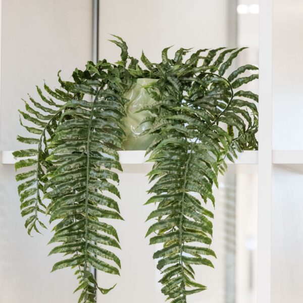 Plante tombante artificielle – Image 4
