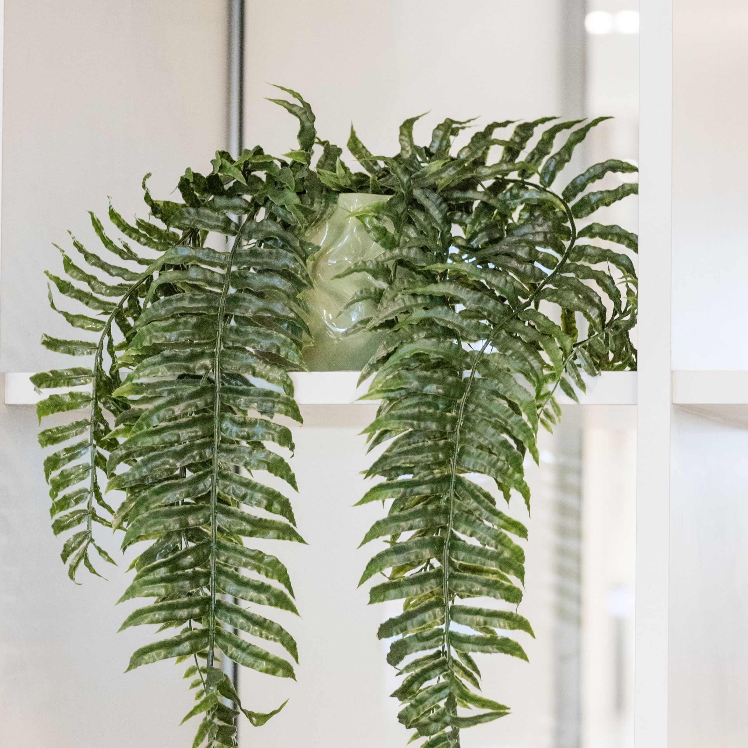 Plante tombante artificielle – Image 4