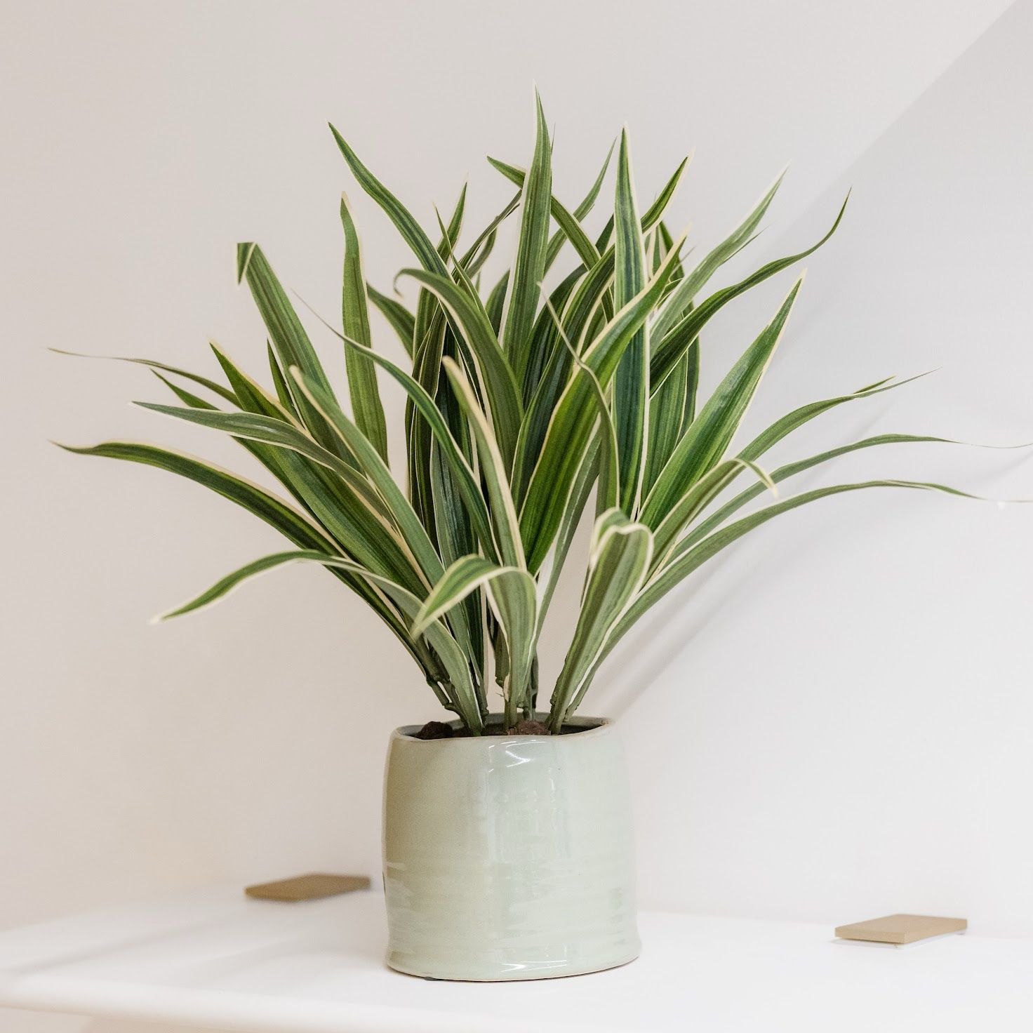 Petite plante artificielle avec pot