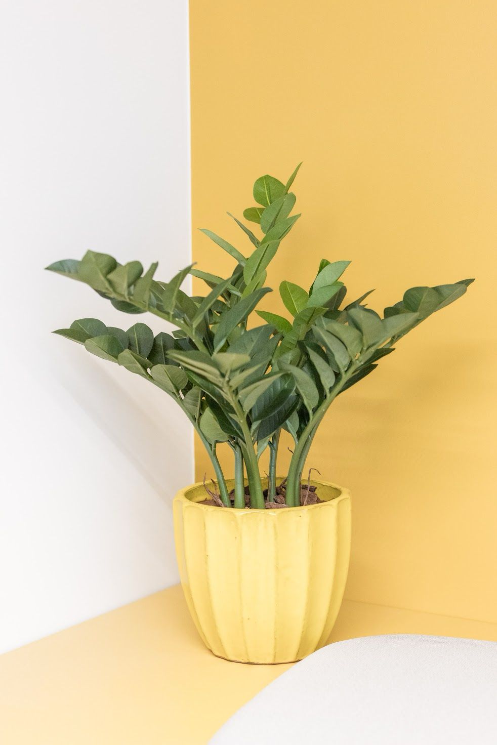 Grande Plante artificielle avec pot – Image 3