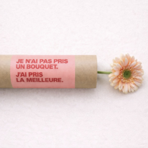 La meilleure : Gerbera