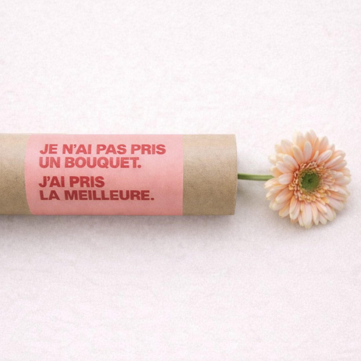 La meilleure : Gerbera