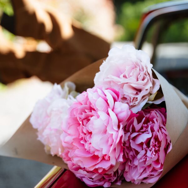 Candy Pivoine