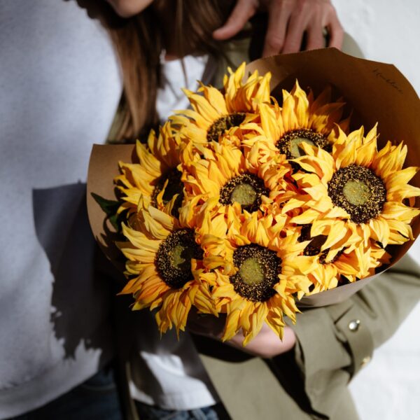 Sunny Tournesol