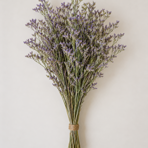 Botte Limonium Violet