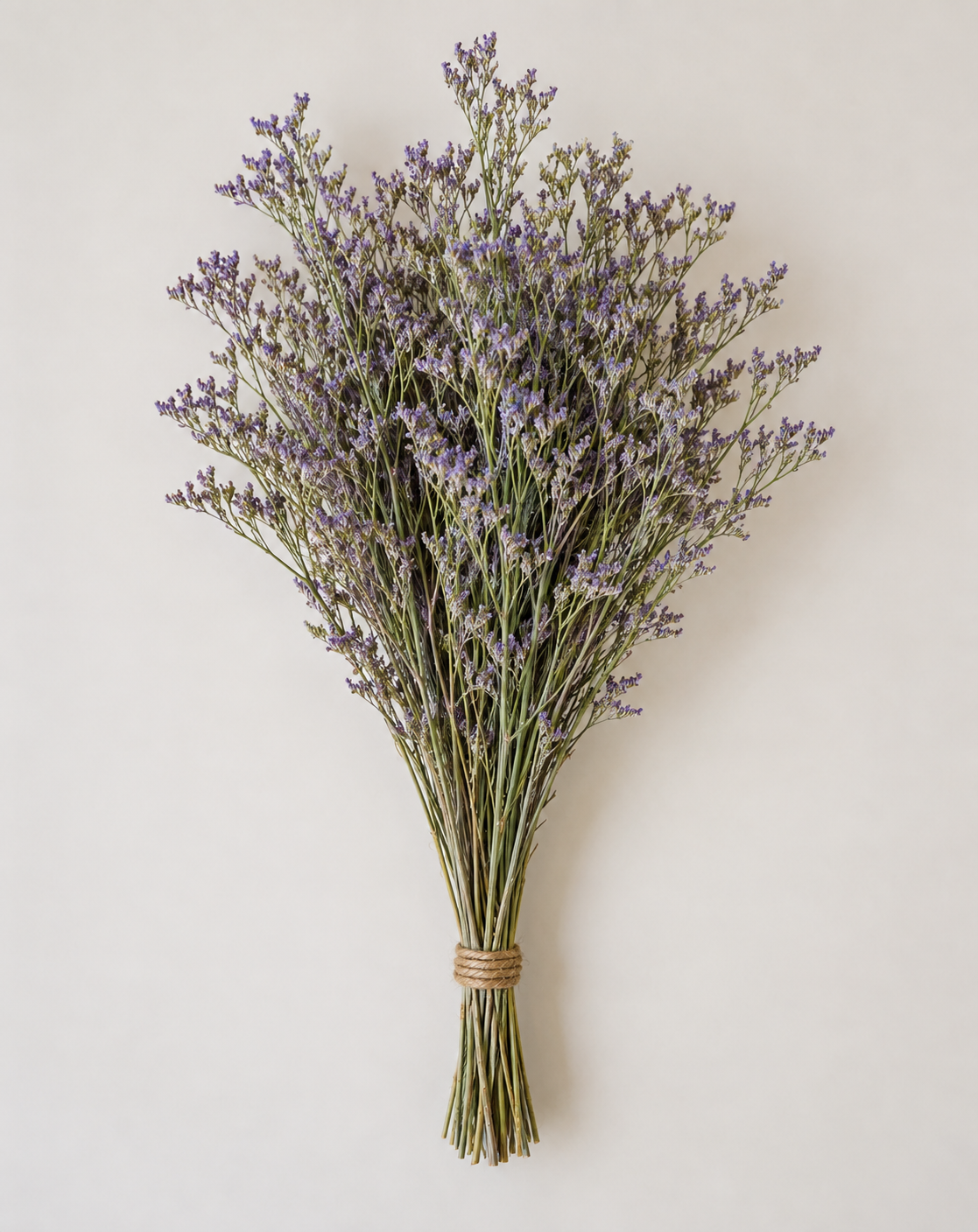 Botte Limonium Violet