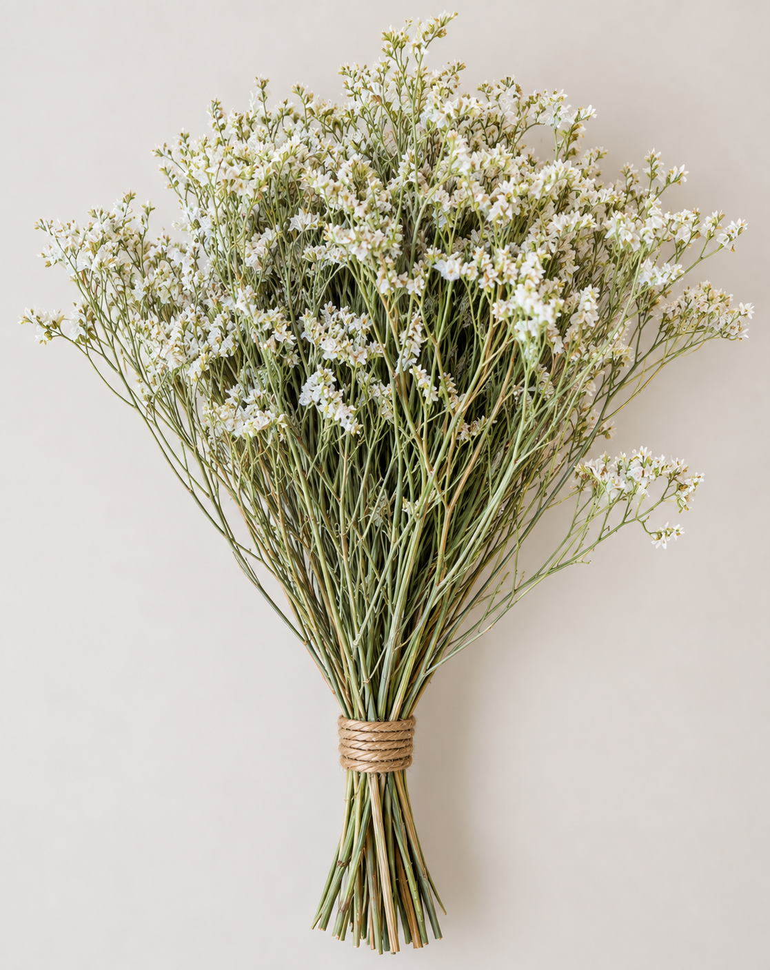 Botte Limonium Blanc
