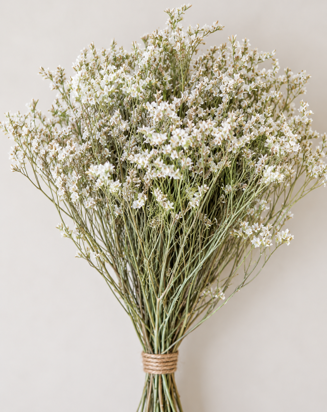 Botte Limonium Blanc – Image 2