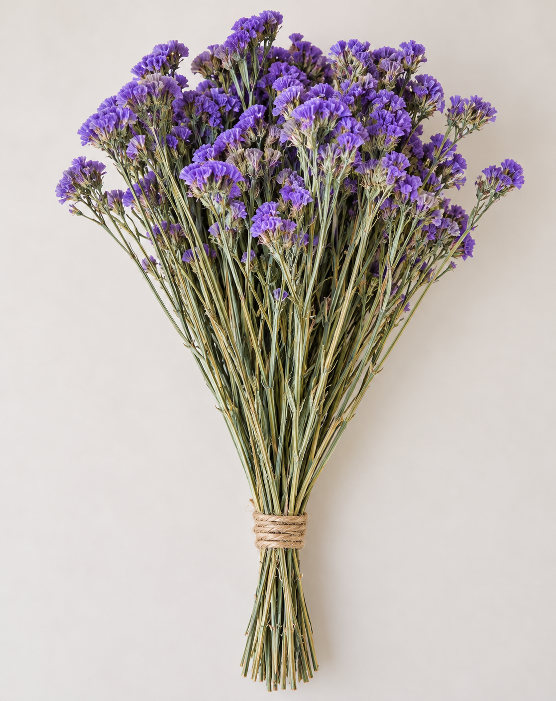 Botte Statice Violet