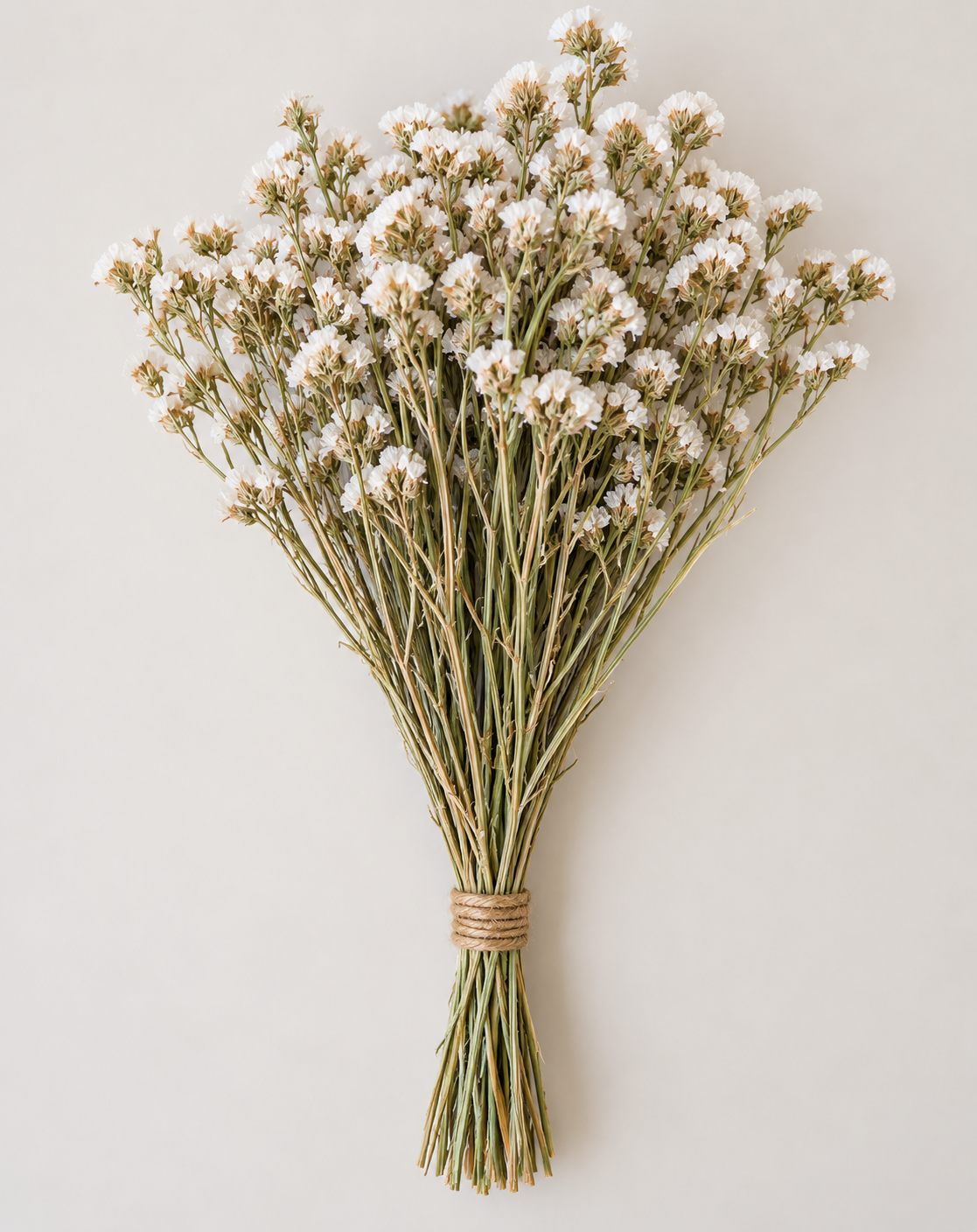 Botte Statice Blanc